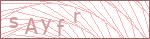 Security Captcha Code