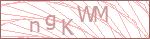 Security Captcha Code