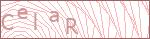 Security Captcha Code