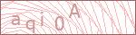 Security Captcha Code