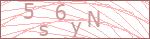 Security Captcha Code