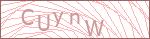 Security Captcha Code