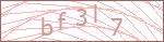 Security Captcha Code
