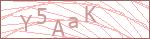 Security Captcha Code