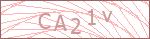 Security Captcha Code